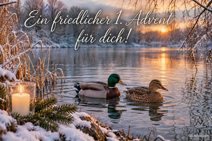 Zwei Enten auf einem verschneiten See bei Sonnenuntergang, davor ein Windlicht, Text: Ein friedlicher 1. Advent für dich! Zwei Enten auf einem verschneiten See bei Sonnenuntergang, davor ein Windlicht, Text: Ein friedlicher 1. Advent für dich!