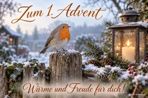 Rotkehlchen auf einem verschneiten Zaunpfosten neben einer Laterne, Text: Zum 1. Advent – Wärme und Freude für dich!