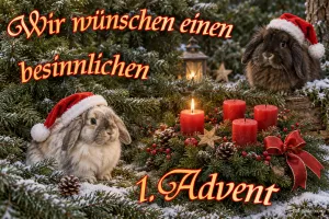 Zwei Kaninchen mit Weihnachtsmützen neben Kerzen, eine brennt, Text: Wir wünschen einen besinnlichen 1. Advent