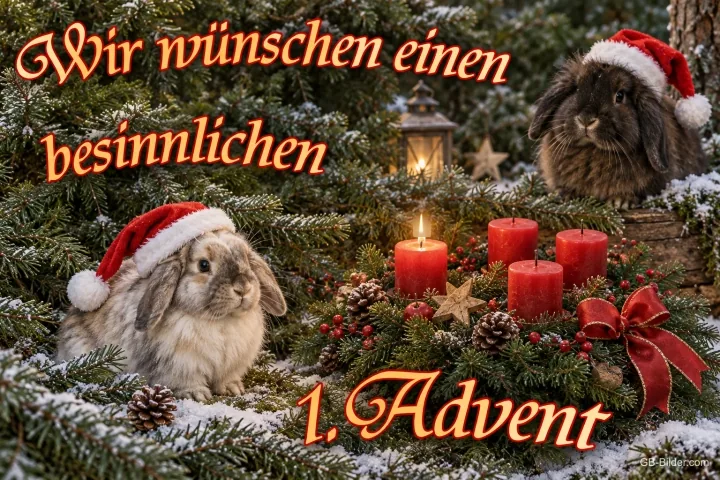 Zwei Kaninchen mit Weihnachtsmützen neben Kerzen, eine brennt, Text: Wir wünschen einen besinnlichen 1. Advent
