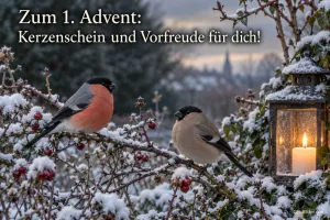 Zwei Gimpel auf einem verschneiten Zweig mit roten Beeren neben einer Laterne, Text: Zum 1. Advent: Kerzenschein und Vorfreude für dich!