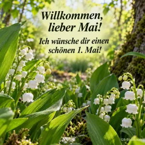 Maiglöckchen im sonnigen Wald, Text: Willkommen, lieber Mai! – Ich wünsche dir einen schönen 1. Mai!