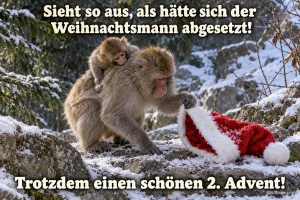 Affenmutter mit Jungem findet eine Weihnachtsmütze im Schnee, Text: Sieht so aus, als hätte sich der Weihnachtsmann abgesetzt! – Trotzdem einen schönen 2. Advent!