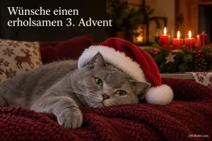 Katze mit Weihnachtsmütze, Text: Wünsche einen erholsamen 3