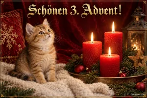 Getigertes Kätzchen schaut zu drei brennenden roten Kerzen, Text: Schönen 3. Advent!