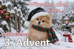 Zwergspitz mit Weihnachtsmütze, Text: Wünschen allen einen