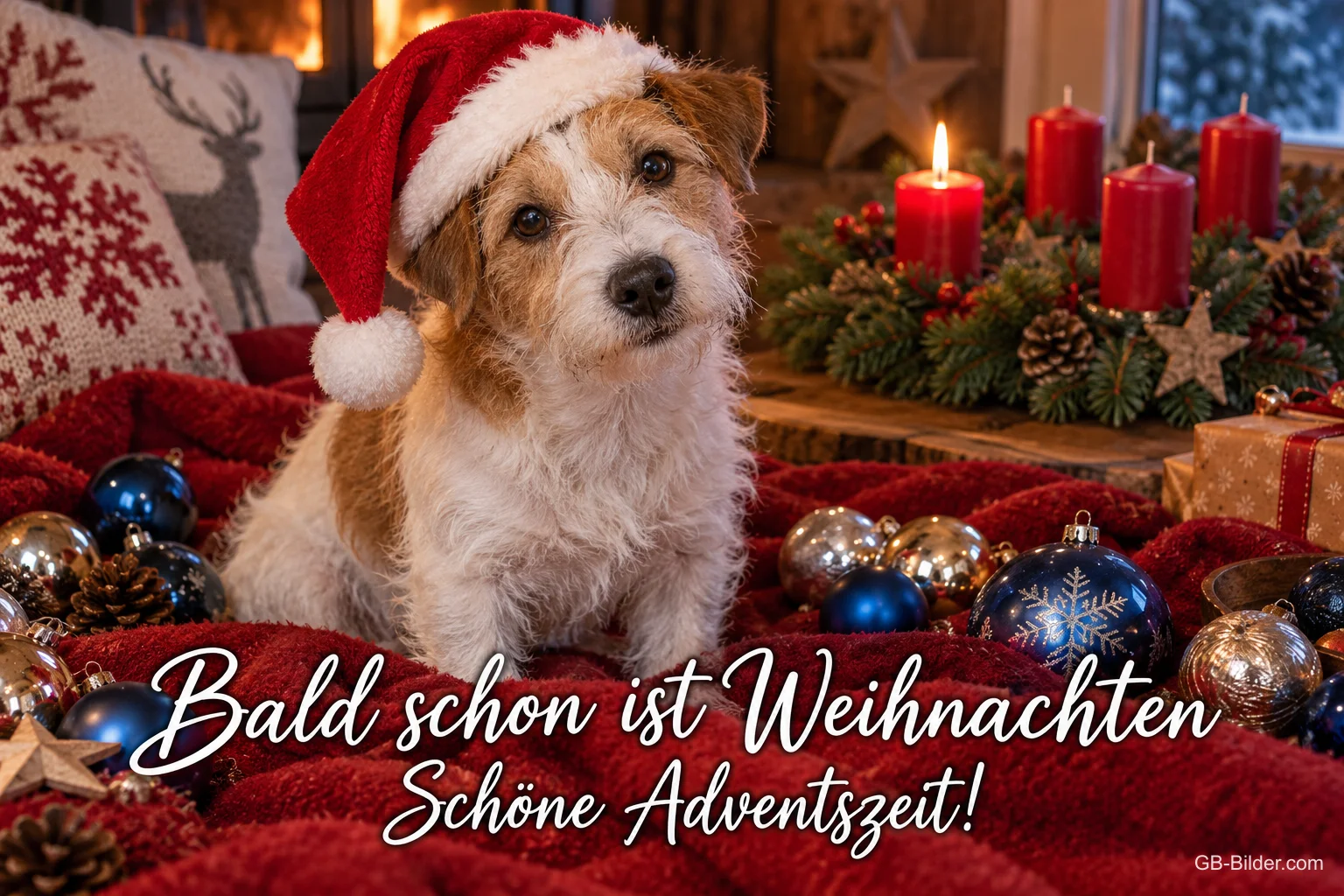 Terrier mit Weihnachtsmütze zwischen Kugeln, Text: Bald schon ist Weihnachten – Schöne Adventszeit! Terrier mit Weihnachtsmütze zwischen Kugeln, Text: Bald schon ist Weihnachten – Schöne Adventszeit!