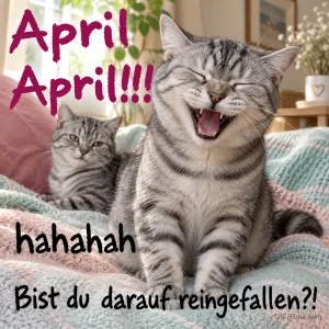 Lachende Katze, lustiger Text: April April! Bist du darauf reingefallen?!