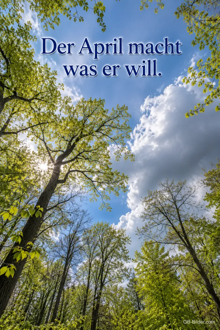 Blick in die Baumkronen eines Frühlingswaldes, Text: Der April macht was er will.