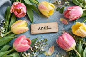 Rosa und gelbe Tulpen um ein Holzschild, Text: April