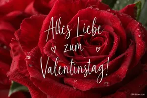 Rote Rose mit Tautropfen, Text: Alles Liebe zum Valentinstag!