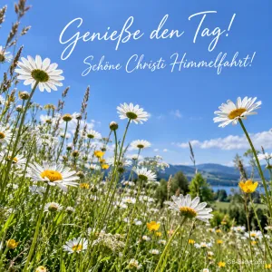 Margeritenwiese unter blauem Himmel, Text: Genieße den Tag! – Schöne Christi Himmelfahrt!