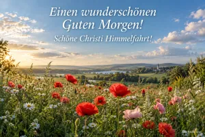 Mohnblumenwiese im Morgenlicht über einem Tal, Text: Einen wunderschönen Guten Morgen! – Schöne Christi Himmelfahrt!