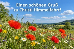 Mohnblumenwiese mit Margeriten unter blauem Himmel, Text: Einen schönen Gruß – zu Christi Himmelfahrt!