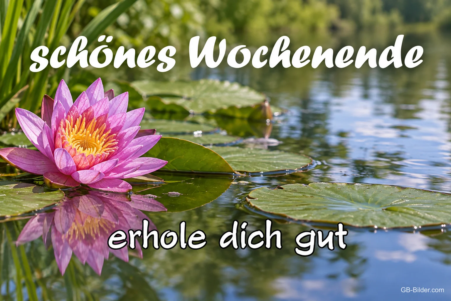 Rosa Seerose auf einem Teich, Text: schönes Wochenende – erhole dich gut