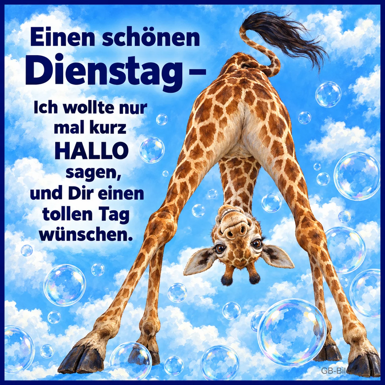 Giraffe schaut kopfüber zwischen ihren Beinen hindurch, Text: Einen schönen Dienstag – Ich wollte nur mal kurz HALLO sagen, und Dir einen tollen Tag wünschen.