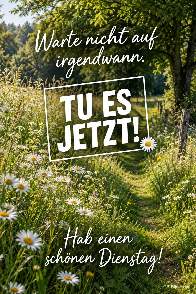 Wiesenweg mit Margeriten, darüber ein Schild TU ES JETZT, Text: Warte nicht auf irgendwann. TU ES JETZT! Hab einen schönen Dienstag!