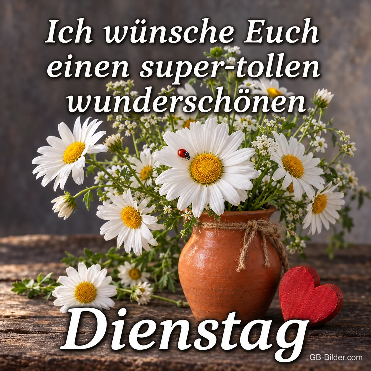 Margeriten im Tonkrug, Text: Ich wünsche Euch einen super-tollen wunderschönen Dienstag