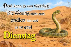 Schlange liegt zusammengerollt im Wüstensand, Text: Das kann ja was werden. Die Woche zieht sich endlos hin und es ist erst Dienstag