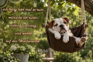 Bulldoggenwelpe in einer Hängeschaukel, Text: Ich häng hier mal so rum, wünsche dir einen tollen Dienstag