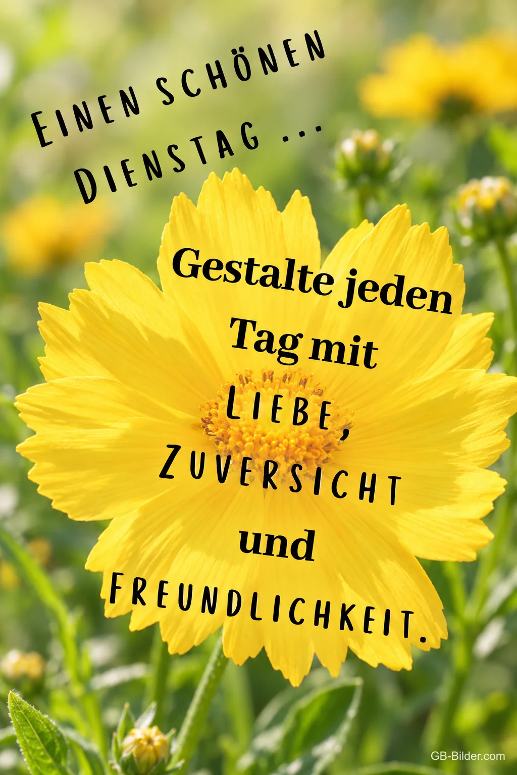Große gelbe Blüte auf einer Wiese, Text: Einen schönen Dienstag – Gestalte jeden Tag mit Liebe, Zuversicht und Freundlichkeit. Große gelbe Blüte auf einer Wiese, Text: Einen schönen Dienstag – Gestalte jeden Tag mit Liebe, Zuversicht und Freundlichkeit.