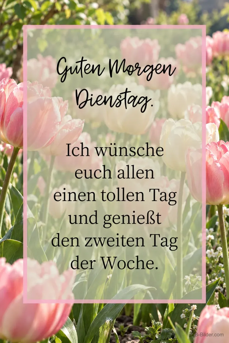 Rosa Tulpen um eine Karte, Text: Guten Morgen Dienstag. Einen tollen Tag
