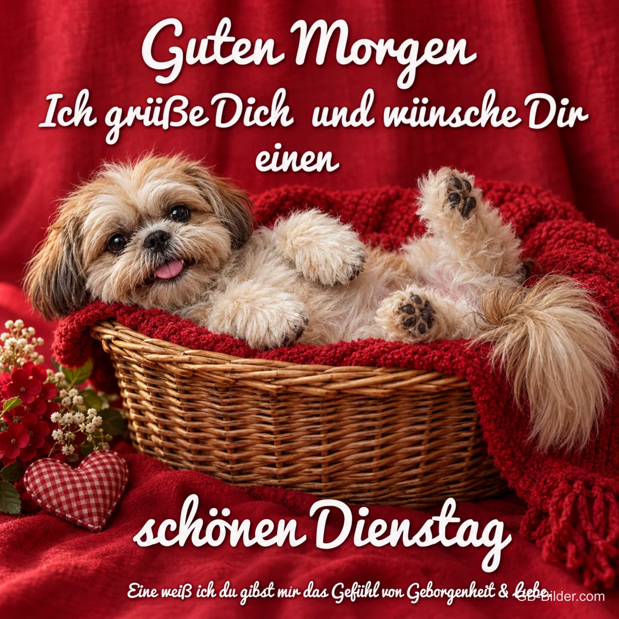 Hund im Weidenkorb, Text: Guten Morgen Hund im Weidenkorb, Text: Guten Morgen