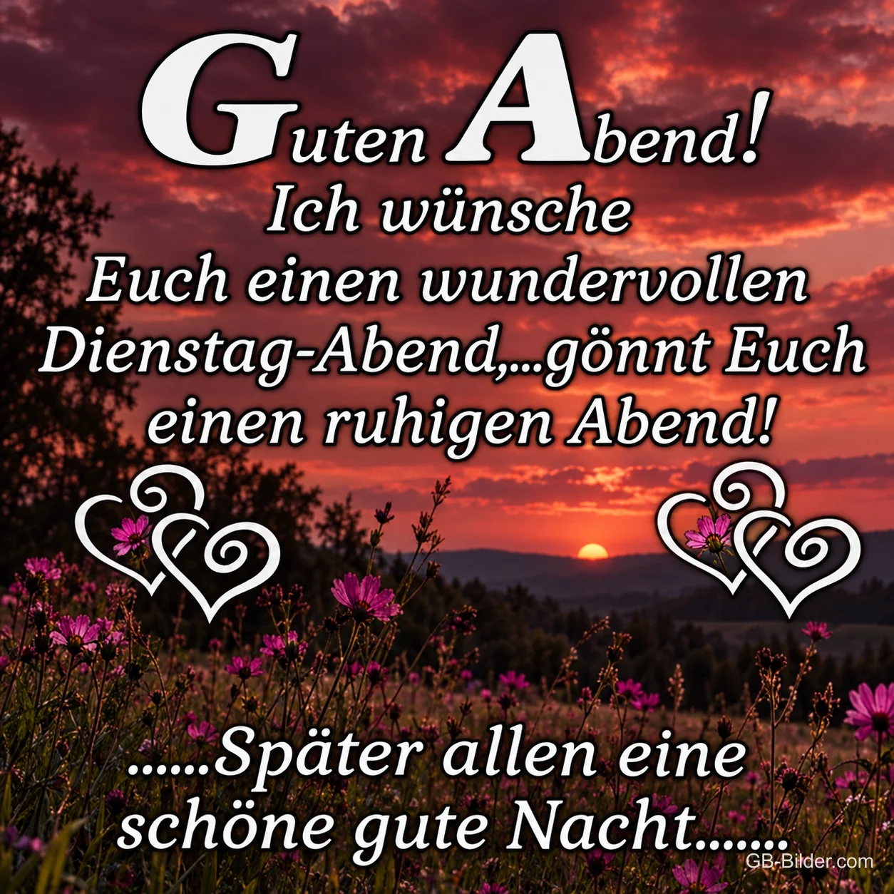 Blumenwiese im Abendrot, Text: Guten Abend Blumenwiese im Abendrot, Text: Guten Abend