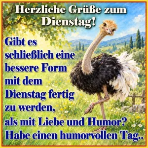 Strauß auf der Wiese, Text: Herzliche Grüße zum Dienstag