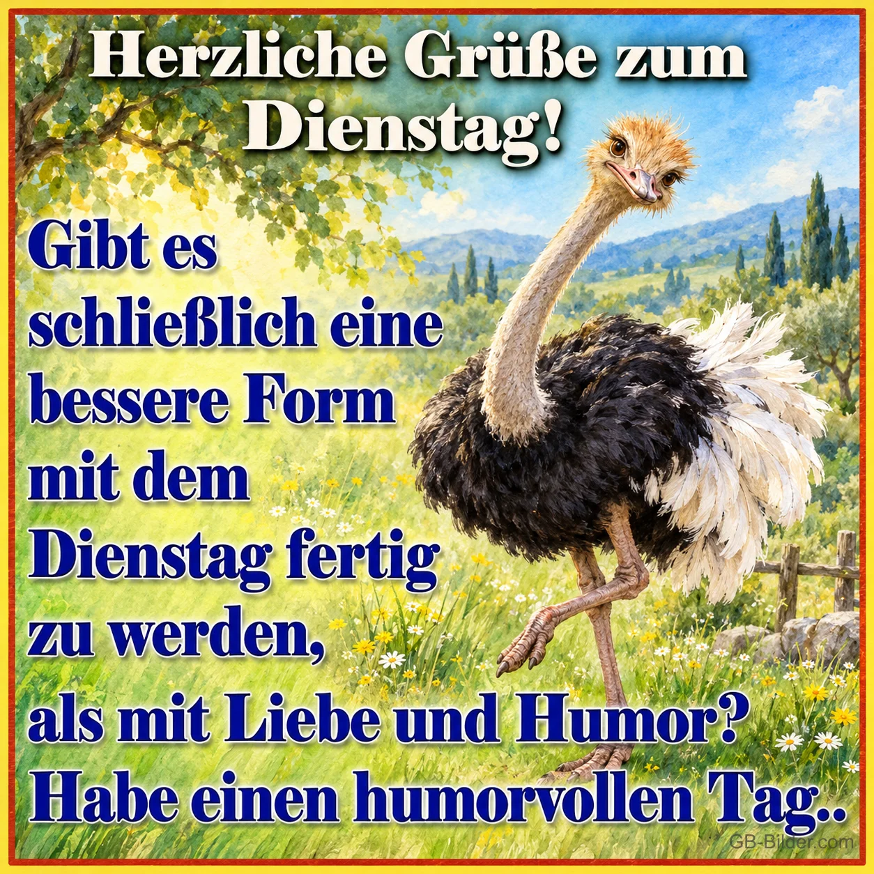 Strauß auf der Wiese, Text: Herzliche Grüße zum Dienstag