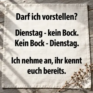 Schwarzer Spruch auf einem Leinentuch, Text: Darf ich vorstellen? Dienstag – kein Bock. Kein Bock – Dienstag. Ich nehme an, ihr kennt euch bereits.