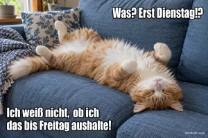 Rote Katze liegt erschöpft auf dem Rücken auf einem blauen Sofa, Text: Was? Erst Dienstag!? Ich weiß nicht, ob ich das bis Freitag aushalte!