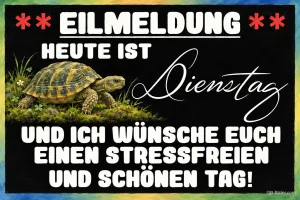Landschildkröte im Moos auf schwarzem Hintergrund, Text: ** EILMELDUNG ** Heute ist Dienstag und ich wünsche euch einen stressfreien und schönen Tag!