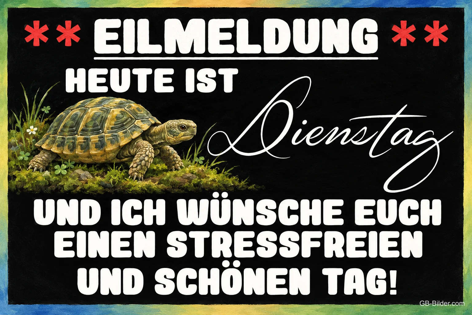 Landschildkröte im Moos auf schwarzem Hintergrund, Text: ** EILMELDUNG ** Heute ist Dienstag und ich wünsche euch einen stressfreien und schönen Tag! Landschildkröte im Moos auf schwarzem Hintergrund, Text: ** EILMELDUNG ** Heute ist Dienstag und ich wünsche euch einen stressfreien und schönen Tag!