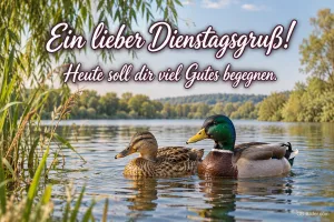 Zwei Enten auf einem ruhigen See zwischen Schilf, Text: Ein lieber Dienstagsgruß! Heute soll dir viel Gutes begegnen.