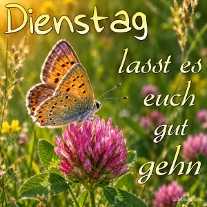 Schmetterling auf einer Kleeblüte, Text: Dienstag – lasst es euch gut gehn