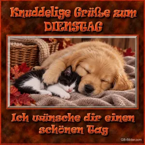 Schlafender Welpe und Kätzchen, Text: Knuddelige Grüße zum Dienstag – Ich wünsche dir einen schönen Tag