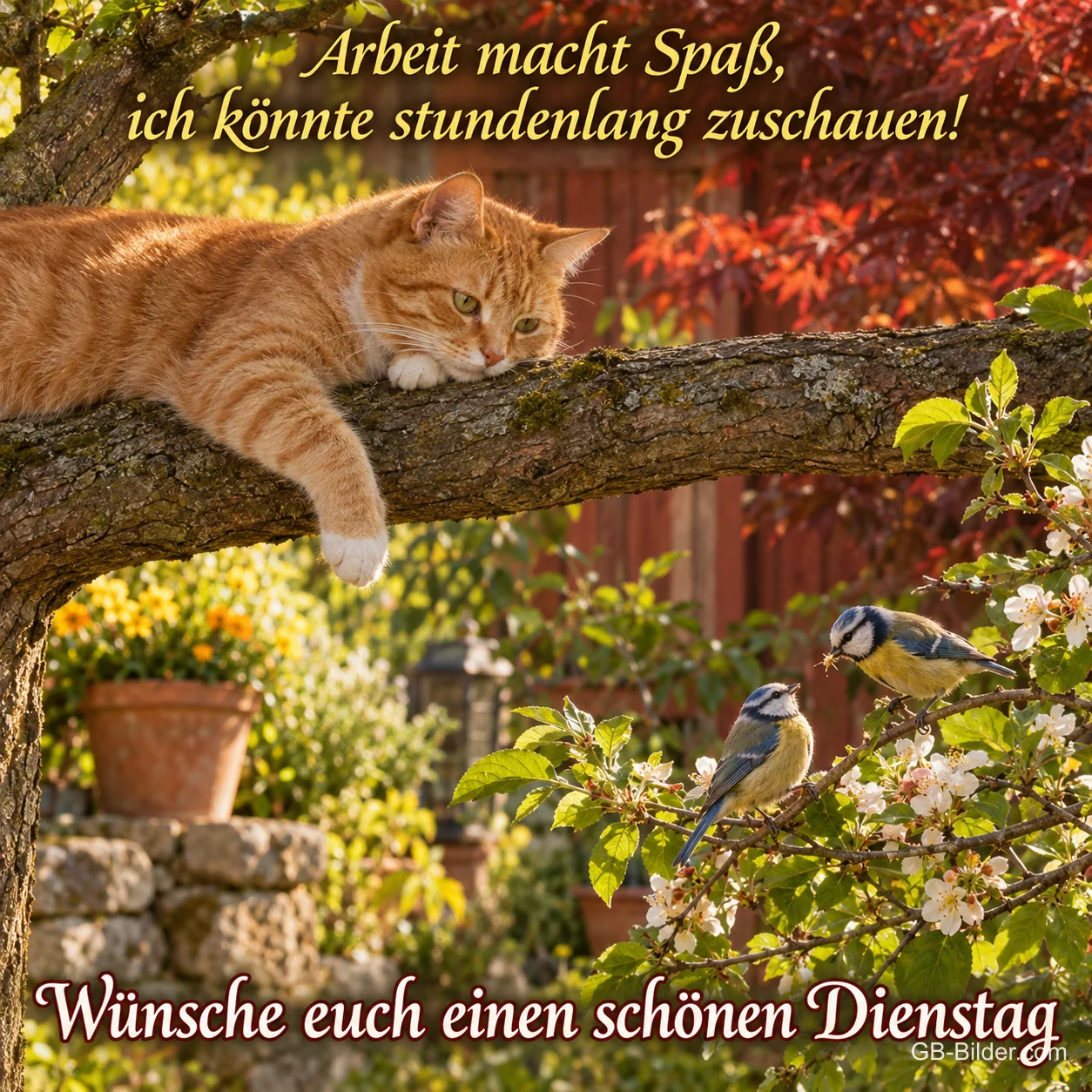 Fauler roter Kater auf einem Ast mit Blaumeisen, Text: Arbeit macht Spaß, ich könnte stundenlang zuschauen!