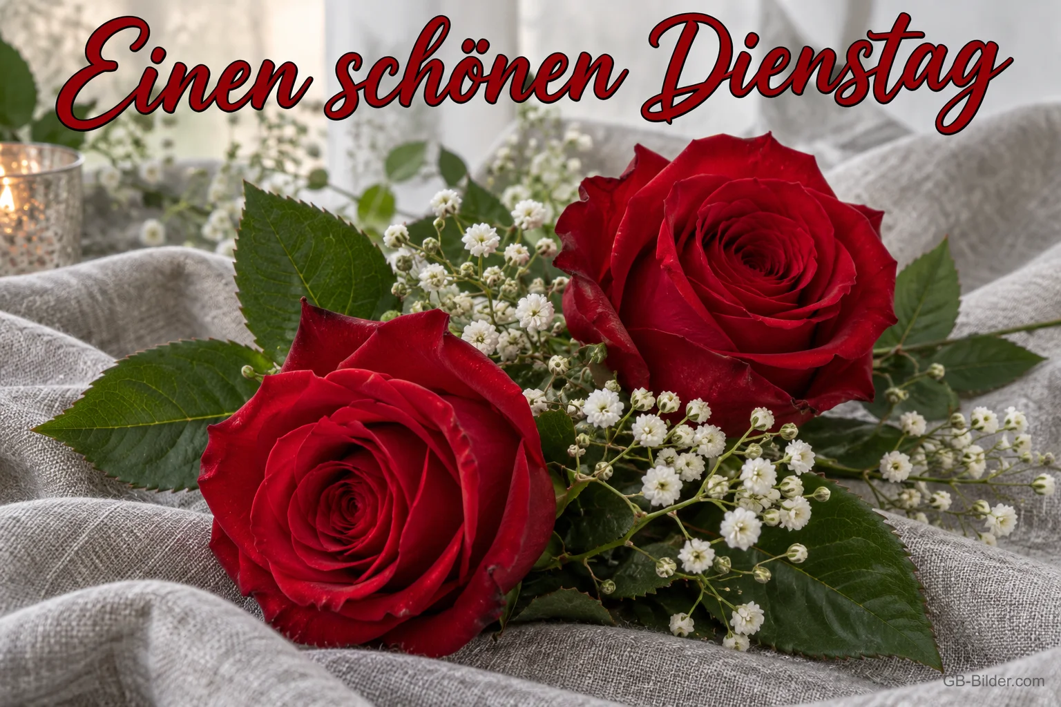 Zwei rote Rosen mit Schleierkraut, Text: Einen schönen Dienstag
