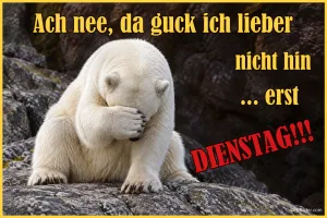 Eisbär hält sich die Pfote vor die Augen, Text: Ach nee, da guck ich lieber nicht hin, erst Dienstag!!!
