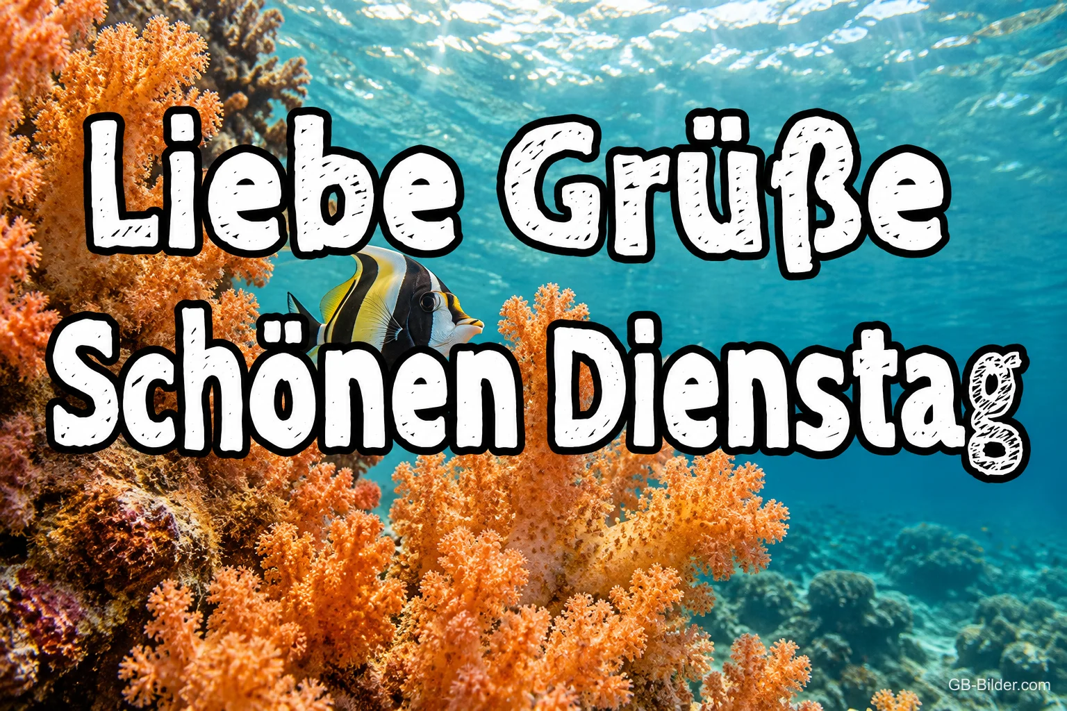 Wimpelfisch über Korallen im Meer, Text: Liebe Grüße – Schönen Dienstag Wimpelfisch über Korallen im Meer, Text: Liebe Grüße – Schönen Dienstag