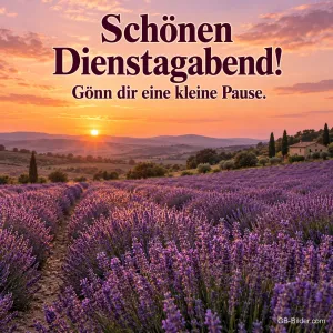 Lavendelfeld bei Sonnenuntergang, Text: Schönen Dienstagabend! – Gönn dir eine kleine Pause.