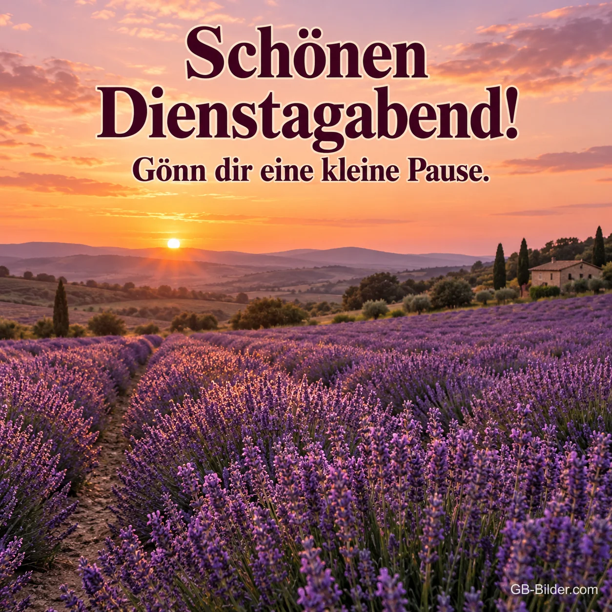 Lavendelfeld bei Sonnenuntergang, Text: Schönen Dienstagabend! – Gönn dir eine kleine Pause. Lavendelfeld bei Sonnenuntergang, Text: Schönen Dienstagabend! – Gönn dir eine kleine Pause.