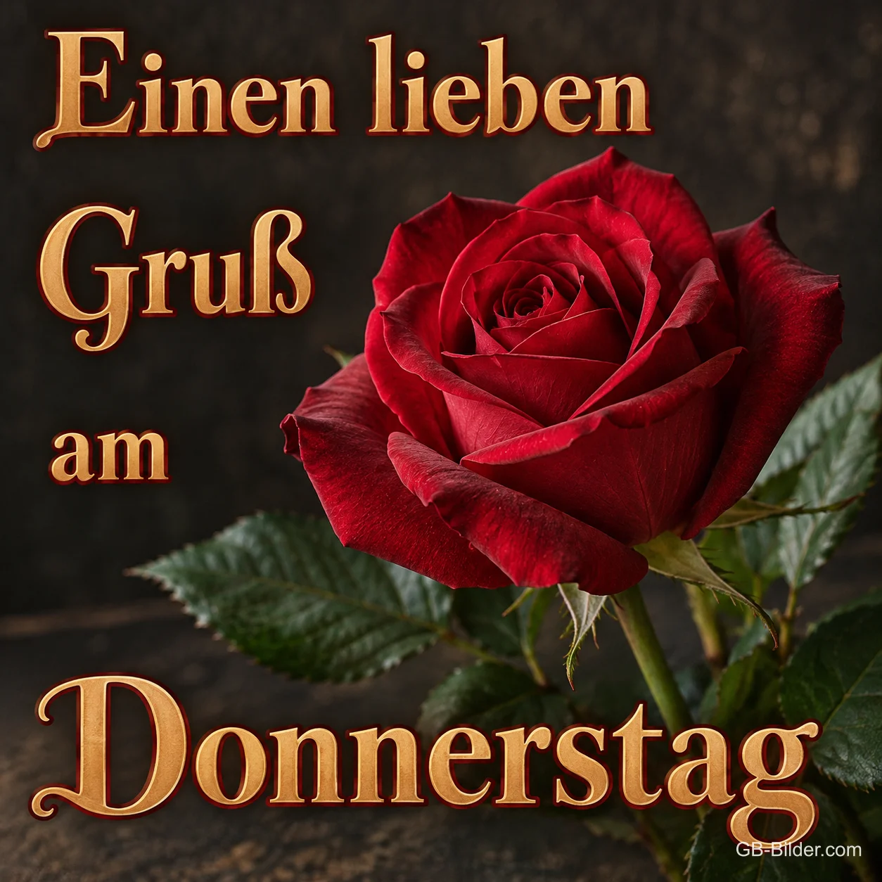 Rote Rose vor dunklem Hintergrund, Text: Einen lieben Gruß am Donnerstag