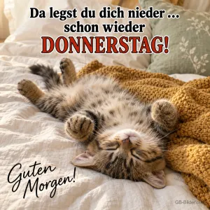 Kätzchen liegt rücklings im Bett, Text: Da legst du dich nieder … schon wieder DONNERSTAG! – Guten Morgen!