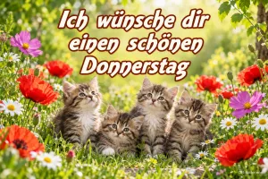 Vier Kätzchen sitzen zwischen Mohnblumen und Wiesenblumen, Text: Ich wünsche dir einen schönen Donnerstag