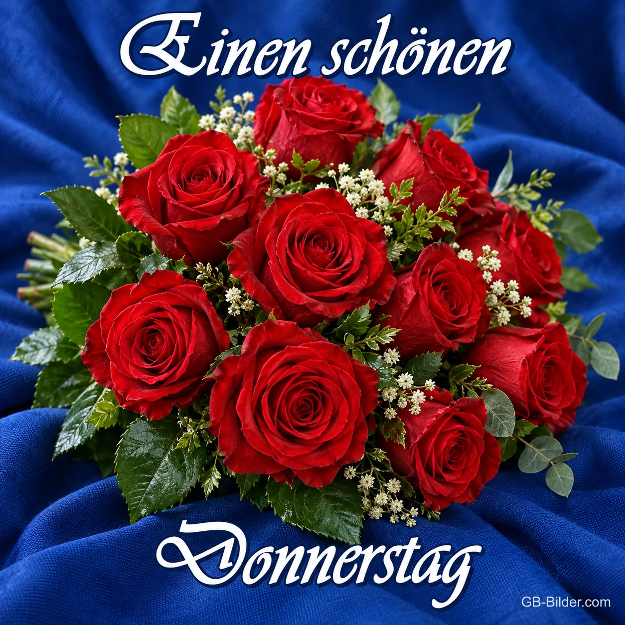 Rote Rosen auf blauem Samt, Text: Einen schönen Donnerstag