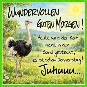 Strauß auf der Wiese, lustiger Spruch, Text: WUNDERVOLLEN GUTEN MORGEN