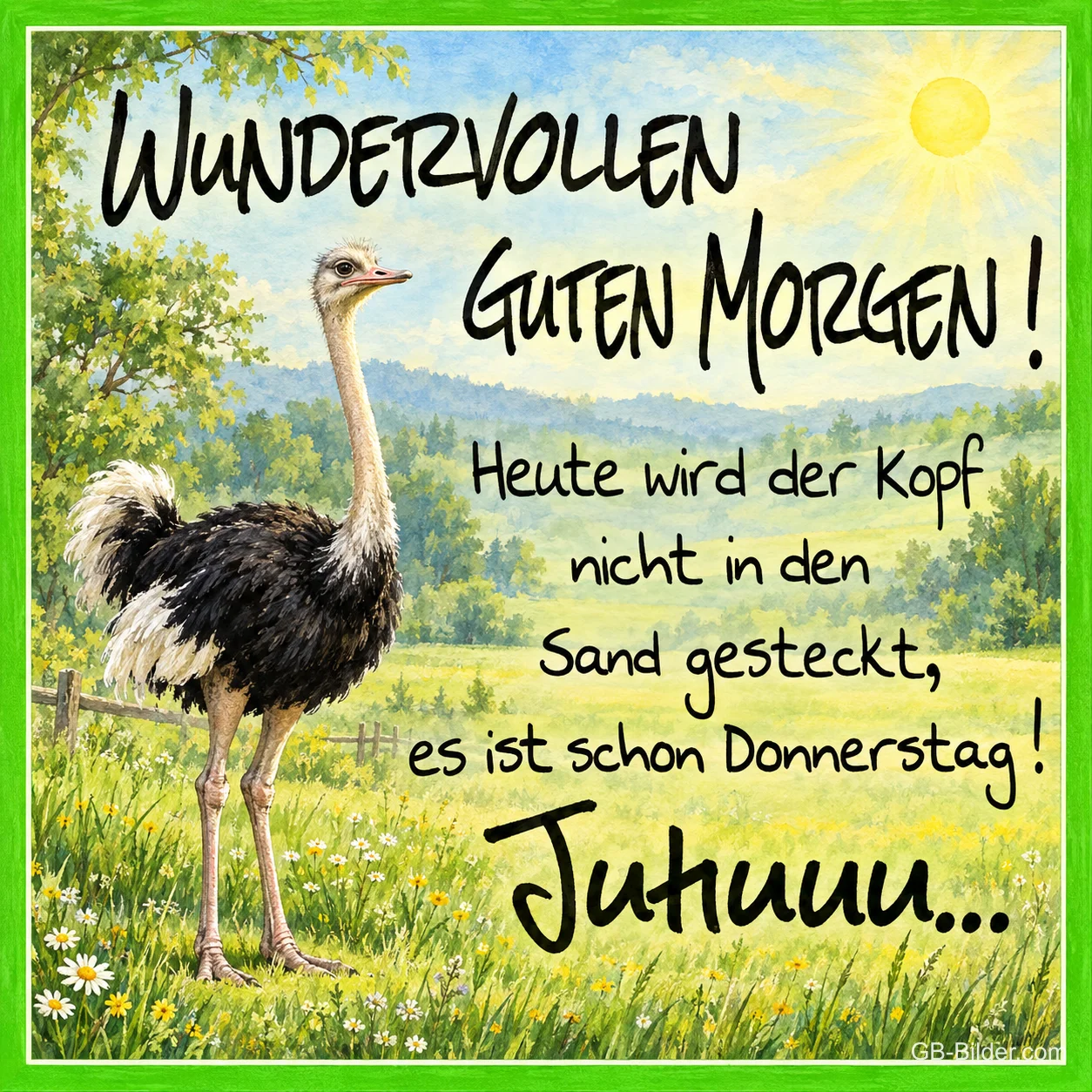 Strauß auf der Wiese, lustiger Spruch, Text: WUNDERVOLLEN GUTEN MORGEN Strauß auf der Wiese, lustiger Spruch, Text: WUNDERVOLLEN GUTEN MORGEN