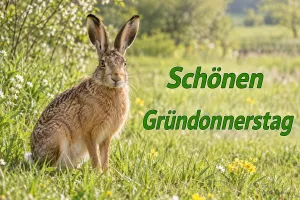 Feldhase auf einer Frühlingswiese, Text: Schönen Gründonnerstag